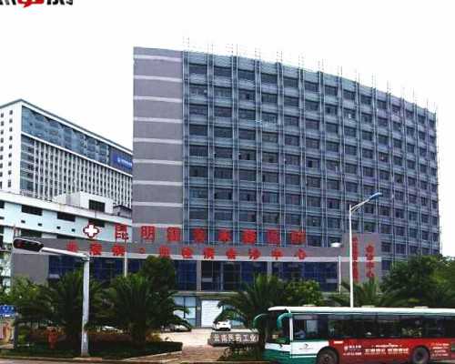  专家解析：这些因素都将影响沈阳助孕试管婴儿的取卵数量？_怀孕三个月乳房