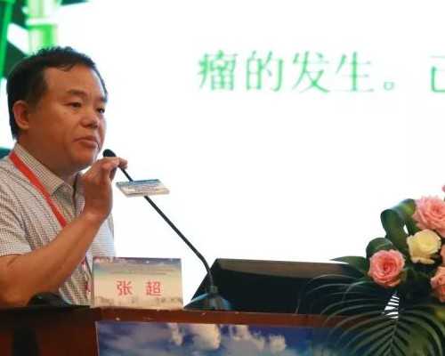 沈阳可靠代生与试管婴儿医院选择指南