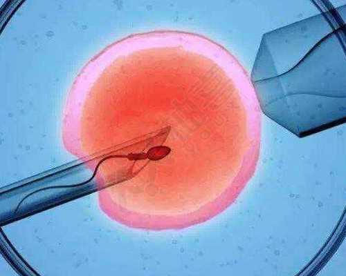 沈阳代孕性别选择：深入了解代怀机构与试管费用