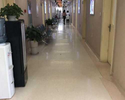 揭秘沈阳借卵试管受精过程：助孕与代孕的抉择