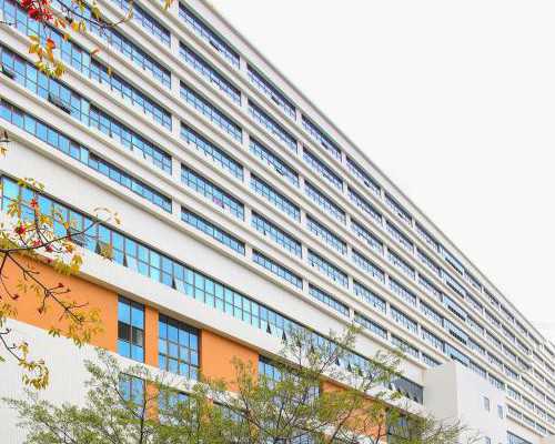 39岁高龄试管婴儿成功率如何？助孕攻略全解析