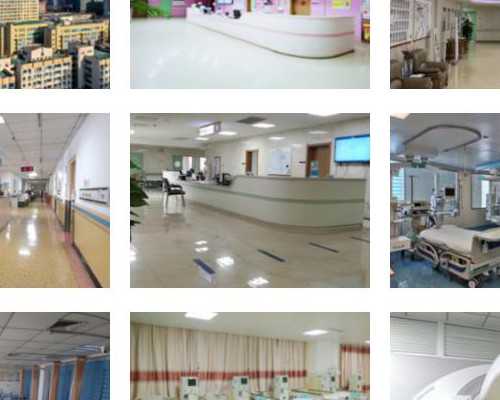 揭秘试管婴儿冷冻胚胎成功率高原因及子宫内膜增厚方法